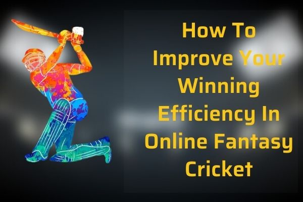 How To Improve Your Winning Efficiency In Online Fantasy Cricket 1