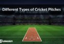 Types of Cricket Pitches That Determines the Fate of A Cricket Match